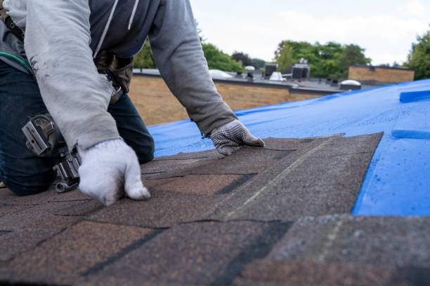 Best Shingle Roofing Installation  in Baraga, MI