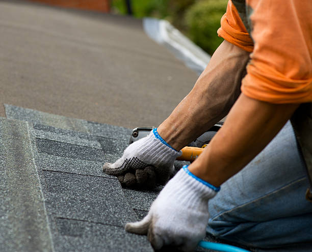 Best Roof Repair Services  in Baraga, MI