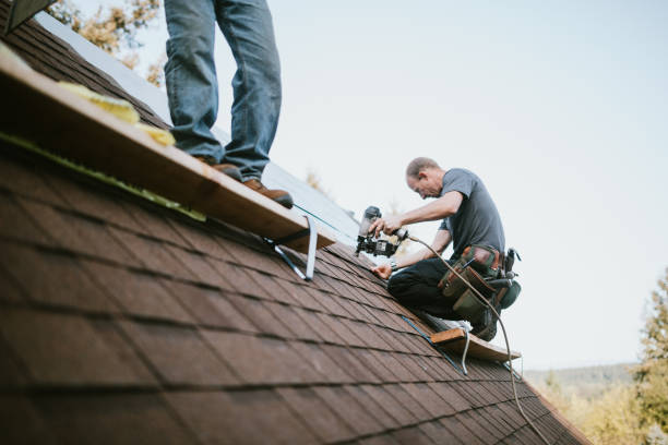 Best Metal Roofing Contractor  in Baraga, MI